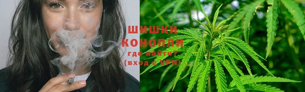 герыч Новодвинск
