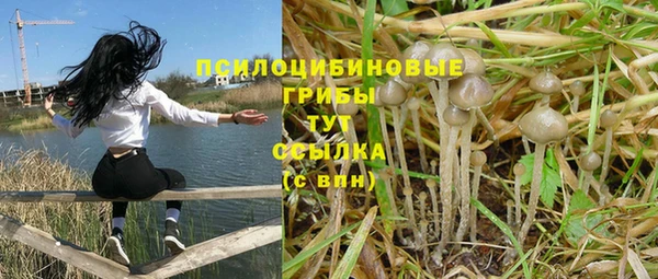 a pvp Нязепетровск