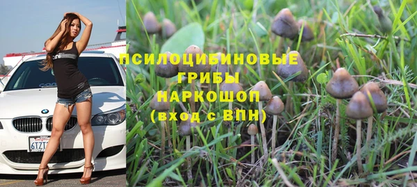 mix Новокубанск