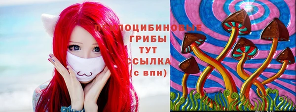 трава Няндома