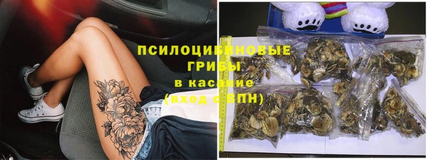 spice Нягань