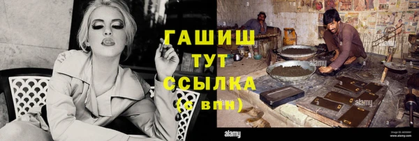 трава Няндома