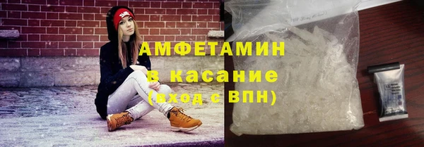 трава Няндома