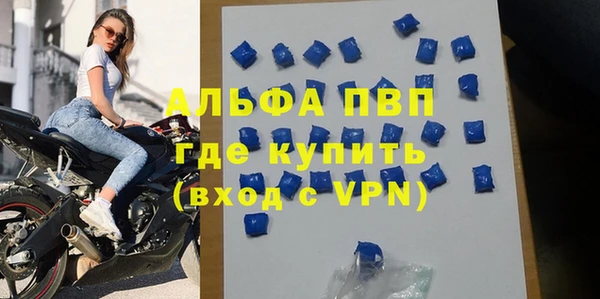 трава Няндома
