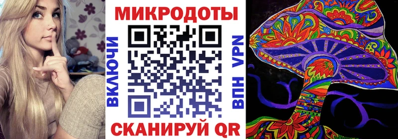 Псилоцибиновые грибы Psilocybe  Болохово 