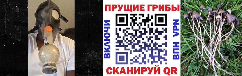Псилоцибиновые грибы мухоморы Болохово